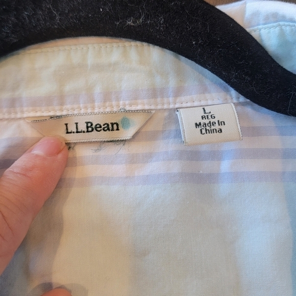 L.L. Bean Cotton Mint Green Light Blue Striped Button Down Shirt Size Large - Picture 10 of 10